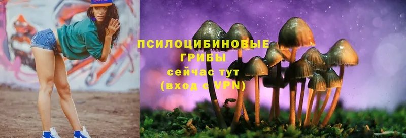 Псилоцибиновые грибы Magic Shrooms  Гай 